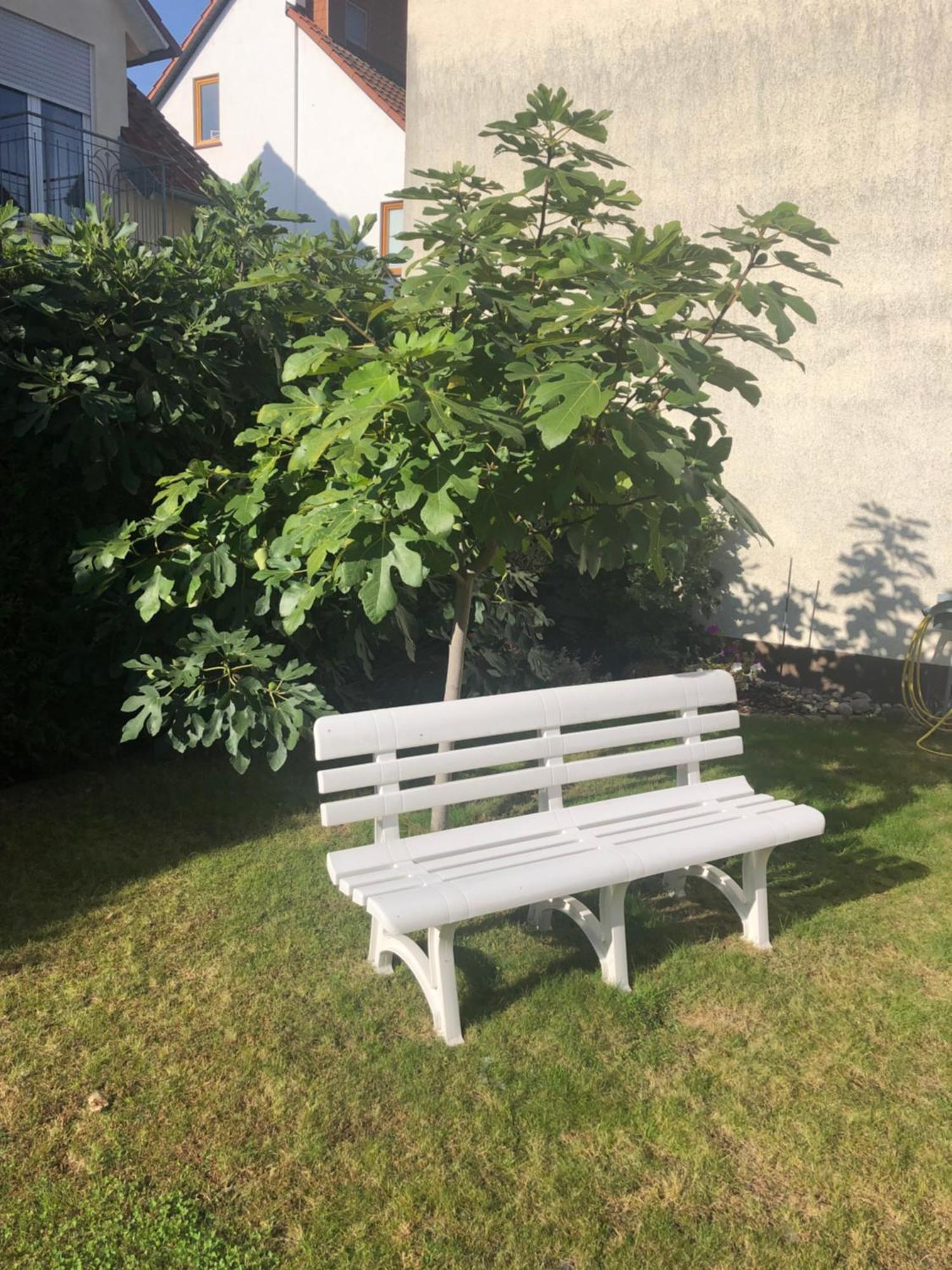 Ferienzimmer Viernheim- Work And Chill Buitenkant foto
